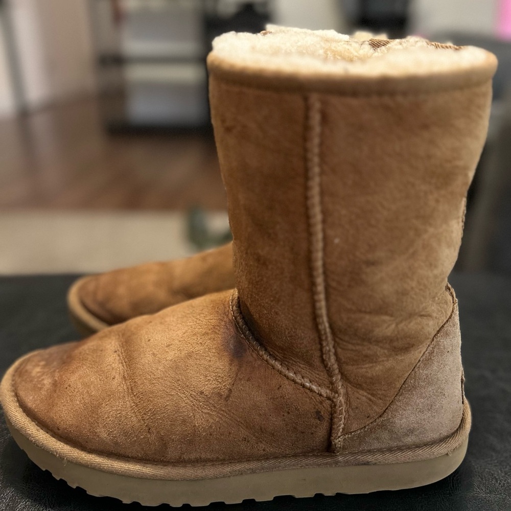 Ugg Chestnut Winter Boots - image 4